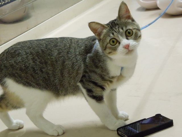 拡大!